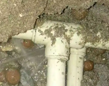 濠江测漏水多少钱