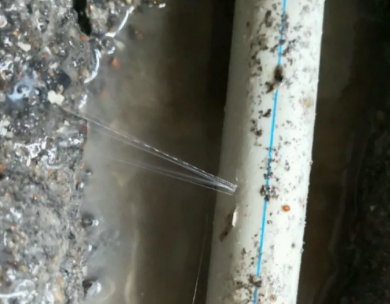 濠江测漏水哪家好