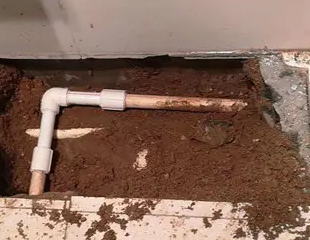 濠江测漏水哪家好