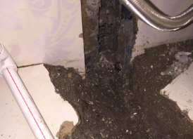 濠江卫生间测漏水哪家好