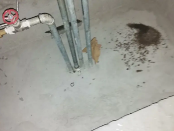 濠江卫生间测漏水价格明细