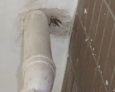 濠江漏水检测哪家好